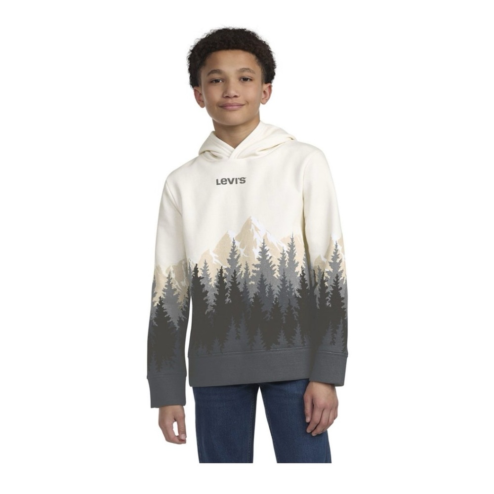 Levi's Kids Pullover Hoodie in Cream and Gray